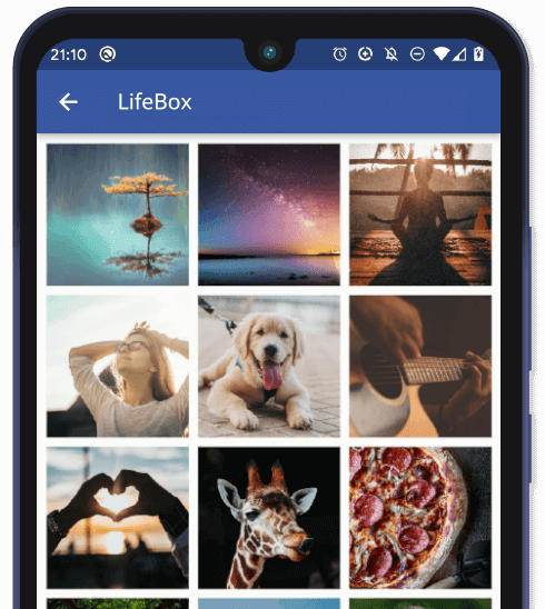 Create a LifeBox